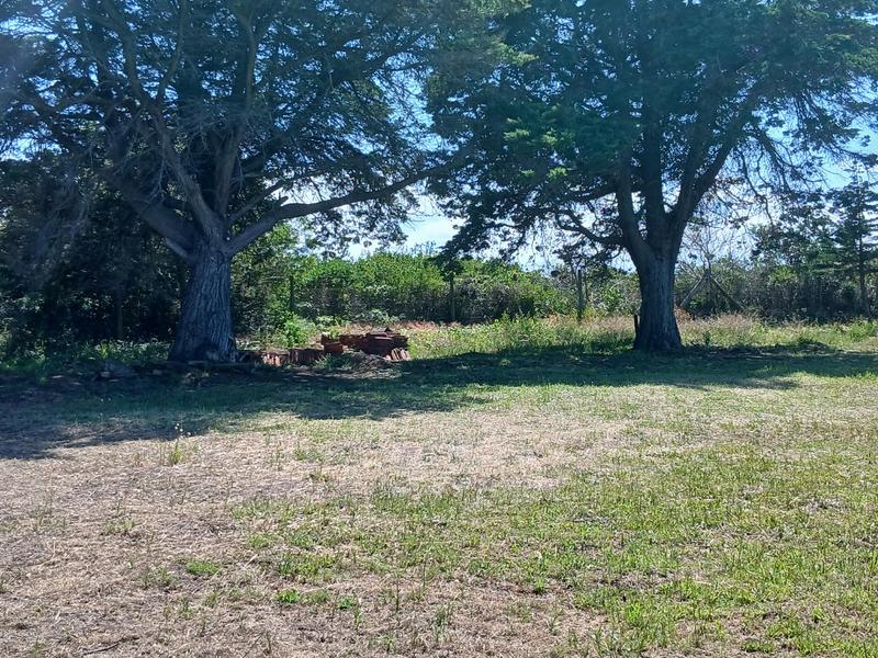 0 Bedroom Property for Sale in Tergniet Western Cape